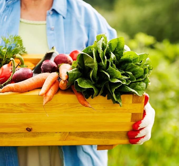 Glee Potting Soil, 1 cu ft (25 qt) Compressed Outdoor Indoor Plant Garden Soil with Nutrients, Expands from 0.4 cu ft