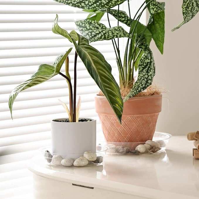 TRUEDAYS 15 Pack(6 inch/8inch/10inch) Clear Plant Saucers Flower Pot Tray Excellent for Indoor & Outdoor Plants
