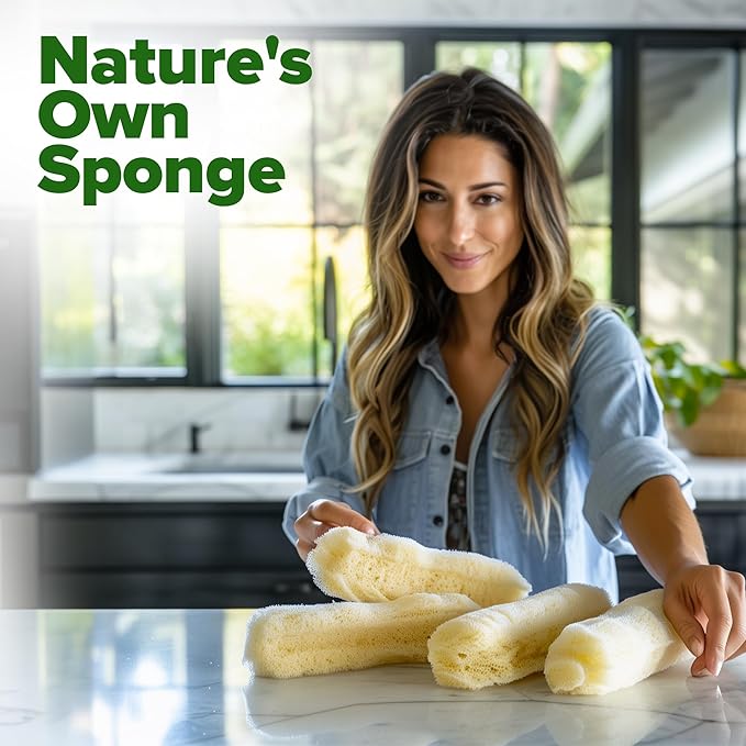 HOME GROWN Luffa Seeds - (Bulk Pack) 40 Non-GMO, Heirloom Loofah Seeds for Planting, USA Sourced, Great for Sponges or Edible Vegetable (Luffa aegyptiaca)