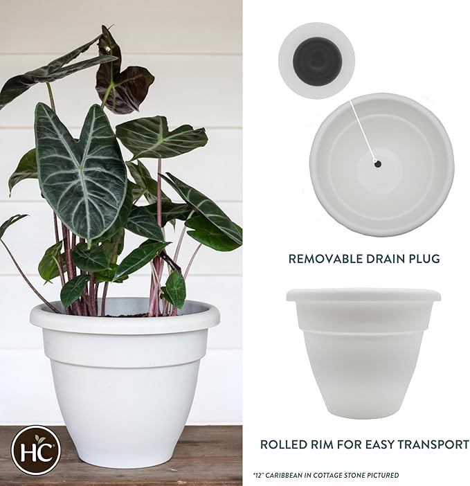 The HC Companies 6 Inch Caribbean Planter - Lightweight Indoor Outdoor Plastic Plant Pot for Herbs and Flowers, White (4 Pack)