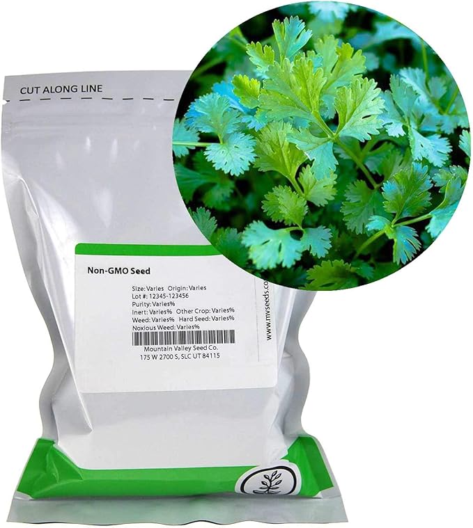 Slow Bolt Cilantro Herb Garden Seeds - 1 Lb ~40,000 seeds - Non-GMO Heirloom Slow Bolt Cilantro Herb Seeds (Coriander) - Outdoor Garden, Indoor Garden, Countertop Microgreens, Organic Micro Greens Kit
