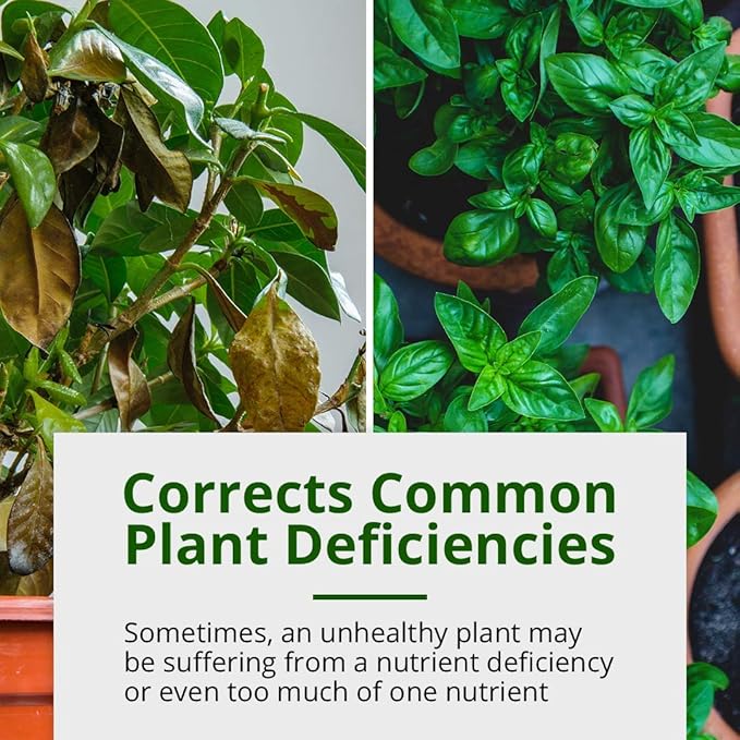 Humboldts Secret Calcium, Magnesium and Iron Supplement – Hydroponic Supplies – Liquid Nutrient Fertilizer – Supports Vegetative and Flowering Stage (5 Gallon)