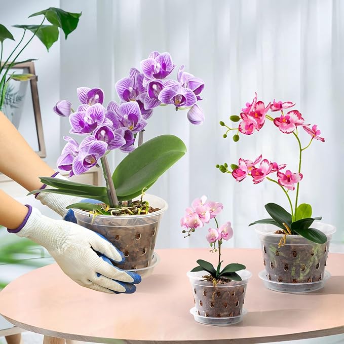 Orchid Pot,3 4 5 6 7 Inch 10 Pack Orchid Pots with Holes and Saucers,Clear Orchid Pots for Repotting,Slotted Orchids Planter