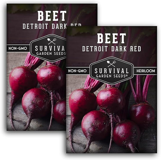Survival Garden Seeds - Detroit Dark Red Beet Seed for Planting - 2 Packs with Instructions to Plant & Grow Delicious Root Vegetables in Your Home Vegetable Garden - Non-GMO Heirloom Variety Seed