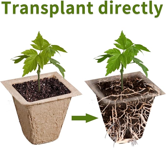 SYITCUN 480 Cells Seed Starter Tray, 40 Pack Biodegradable Seed Starter Kit, Peat Pots for Seedlings with 400 Plant Labels, 2 Seed Planting Tool and 1 Spray Bottle
