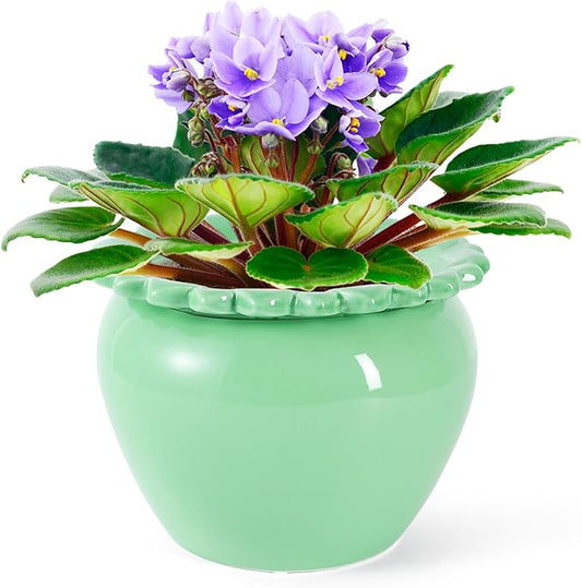 Large African Violet Pots 8 Inch Green Ceramic Easy Plant Self Watering Pot Ceramic Flowerpot with Water Absorbing Inner Pot Orchid Planter for Valentine's Day