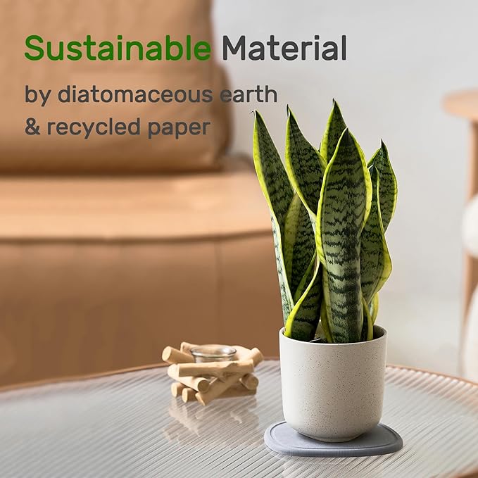 Diatomaceous Earth Plant Saucer for Indoor, 2 Pack Irregular 6 Inch 12 Inch, Instant Dry Pot Saucer, Plant Drip & Drainage Tray for Indoor, Stone Gray