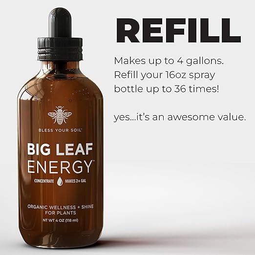 Big Leaf Energy : Concentrated Refill : Pure Organic Cold Pressed Neem + Essential Oils (118 mL, Makes 4 gallons) for Plant Wellness