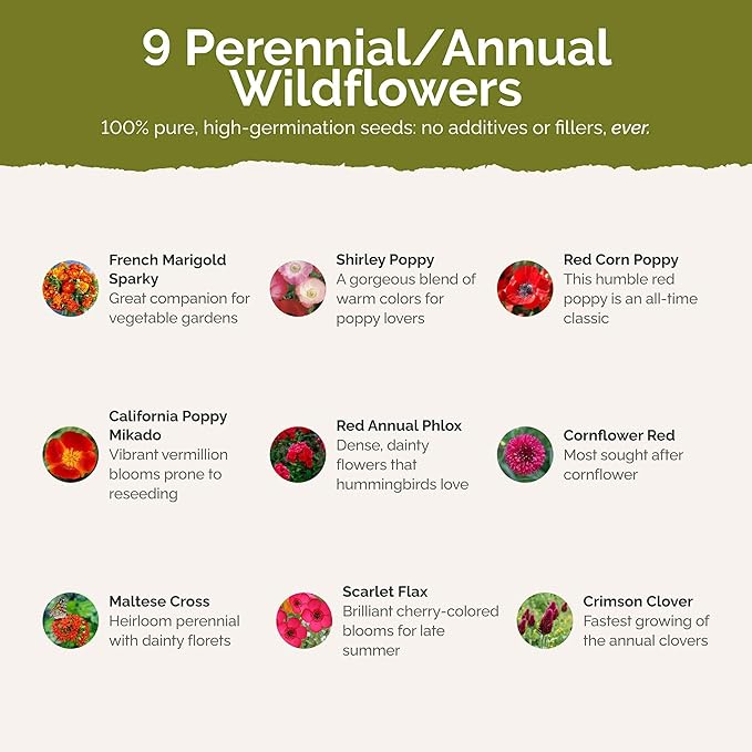 Eden Brothers Red Head Wildflower Mixed Seeds for Planting, 1/4 lb, 120,000+ Seeds with Maltese Cross, Scarlet Flax | Attracts Pollinators, Plant in Spring or Fall, Zones 3, 4, 5, 6, 7, 8, 9, 10