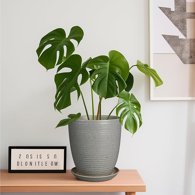 8 Inch Plant Pot Ceramic Planter Pot with Drainage Hole and Saucer Modern Round Flower Pot for Indoor Plants Light Gray