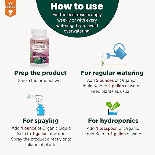 Monstera-Specific Organic Liquid Kelp Fertilizer - 16 oz - Boost Your Monstera's Growth and Leaf Development Naturally