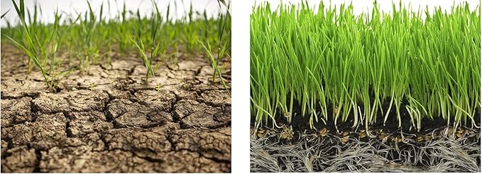 Water-Storing Crystal Gel (1 Pound)