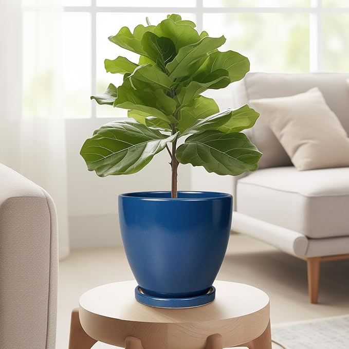 6 Inch Plant Pot - Ceramic Planter with Drainage Hole and Saucer, Modern Round Flower Pot, Planters for Indoor Plants, Home Garden Decor, Blue
