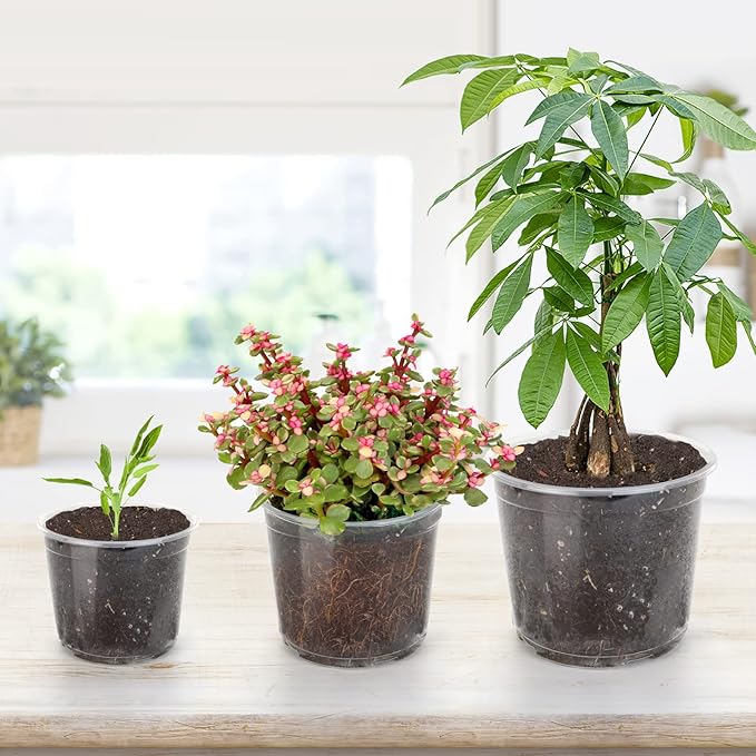 7/6/5/4 Inch Clear Nursery Pots with Drainage Holes, 28 Pack Nursery Pots Variety Pack, Durable Transparent Plastic Pots for Plants, Seed Starter Pots, Garden Flower Orchid Pots