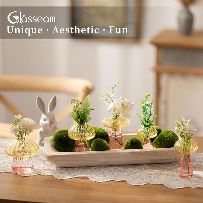 Glasseam Mushroom Plant Propagation Stations: Colored Glass Terrarium Jar Set of 5 Cute Planters for Indoor Plants Mini Propagate Station Unique Christmas Birthday Gifts for Women Home Office Decor
