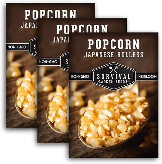 Survival Garden Seeds - Japanese Hulless Popcorn Seed for Planting - 3 Packs with Instructions to Plant and Grow Delicious Kernel Popcorn in Your Home Vegetable Garden - Non-GMO Heirloom Variety