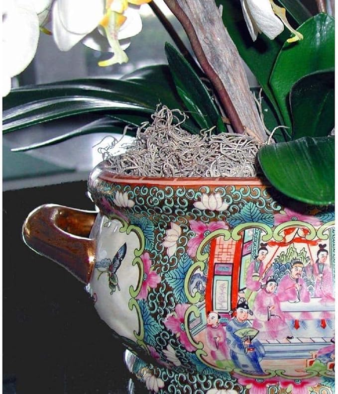 Mosser Lee ML0560 Spanish Moss, 250 Cubic Inches (3)