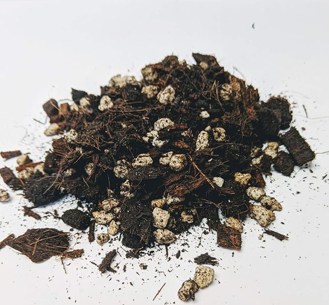 Tanks Pro Mini Cactus and Succulent Mix - 1 qt