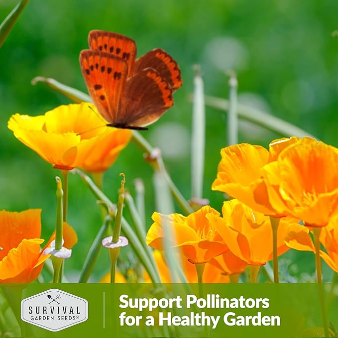 Survival Garden Seeds 3 Packets California Poppy for Planting - Seed Packs with Instructions to Grow Eschscholzia Californica Plants in Your Home Flower Garden - Non-GMO Heirloom Wildflower Variety