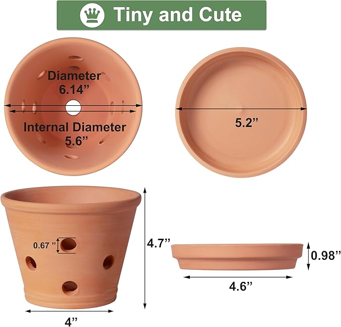 6 inch Terracotta Orchid Pots with Holes and Saucers, 3 Pack Clay Orchid Planter Pots for Repotting, Small Terra Cotta Orchid Pot, Plant Flower Pots for Orchid Indoor Outdoor Promotes Air Circulation