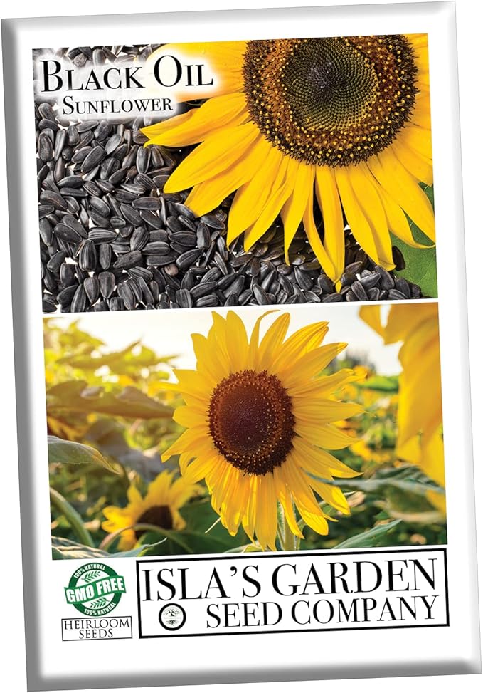 Black Oil Sunflower Flower Seeds for Planting, 150+ Flower Seeds Per Packet, (Isla's Garden Seeds), Non GMO & Heirloom Seeds, Scientific Name: Helianthus annuus, Great Flower Garden Gift
