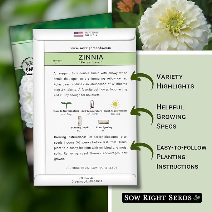 Sow Right Seeds - Zinnia Polar Bear Flower Seeds for Planting - Beautiful Flowers to Plant in Your Home Garden - Non-GMO Heirloom Packet - White Blooms Attract Pollinators - Cut and Come Again (4)