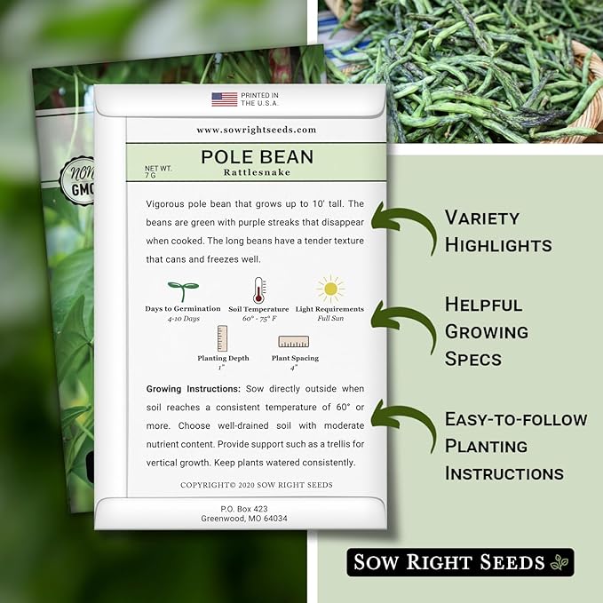 Sow Right Seeds - Rattlesnake Pole Bean Seeds for Planting - Non-GMO Heirloom Packet with Instructions to Plant an Outdoor Home Vegetable Garden - Stringless Variety - Tender with Purple Streaks (3)