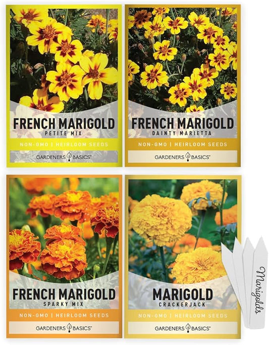 Gardeners Basics, Marigold Seeds for Planting Outdoors (4 Variety Pack) French Marigold Petite Mix, Dainty Marietta, Sparky, and African Marigold Seeds Crackerjack for Pollinators Wildflower Seed