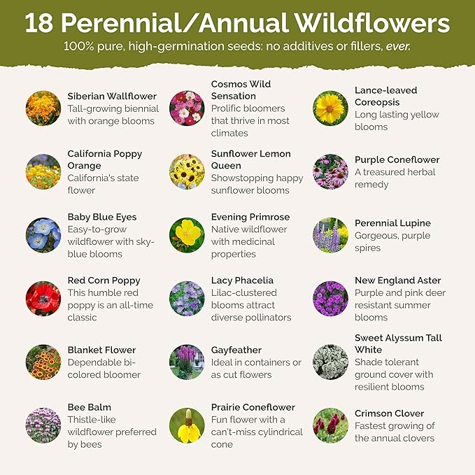 Eden Brothers Rhode Island Wildflower Mixed Seeds for Planting, 1 oz, 30,000+ Seeds with WallFlower, Sunflower | Attracts Pollinators, Plant in Spring or Fall, Zones