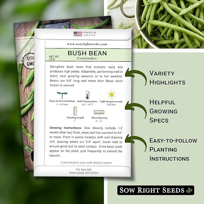 Sow Right Seeds - Contender Bush Green Bean Seeds for Planting - Non-GMO Heirloom Seed Packet - Stringless Variety to Plant an Outdoor Home Vegetable Garden - Abundant Harvest, Great for Kids (2)