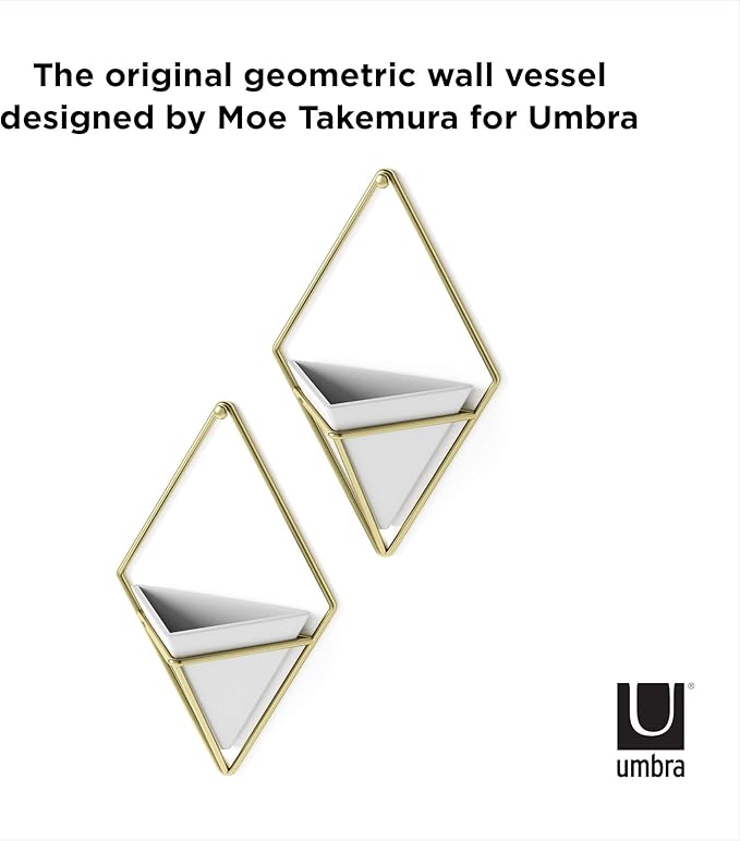 Umbra Trigg Hanging Planter Vase Wall Decor, Set of 2 Pots Containers for Succulents, Cactus, Faux Plants, and More, Small, White/Brass