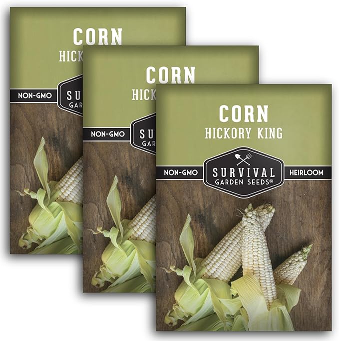 Hickory King Corn Seed for Planting - 3 Packets with Instructions to Plant and Grow White Field or Dent Corn in Your Home Vegetable Garden - Non-GMO Heirloom Variety - Survival Garden Seeds