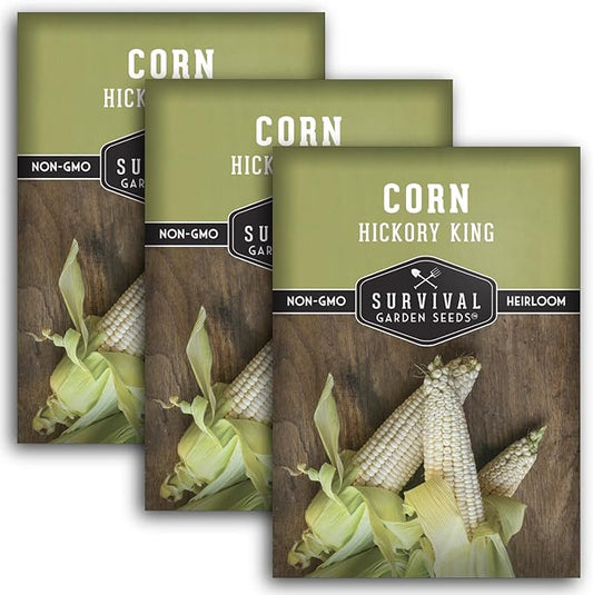 Hickory King Corn Seed for Planting - 3 Packets with Instructions to Plant and Grow White Field or Dent Corn in Your Home Vegetable Garden - Non-GMO Heirloom Variety - Survival Garden Seeds