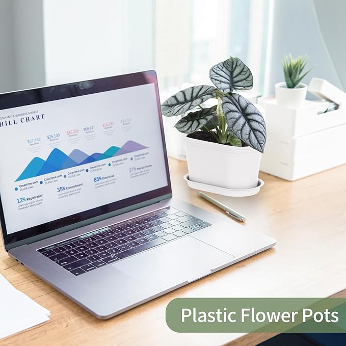 Windowsill Garden Pots, White Plastic Flower Pots with Drainage Tray for Herb, Succulents, African Violet (Pack of 6)