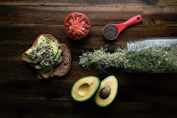 Broccoli Seeds for Sprouting & Microgreens | Waltham 29 Variety | Non GMO & Heirloom Seeds | 8 oz Resealable Bag | Rainbow Heirloom Seed Co.