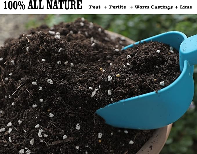 Houseplant Potting Mix, Fertilized, Perlite Soil for All Types of Indoor House Plants and Tropical Plant 1 qt