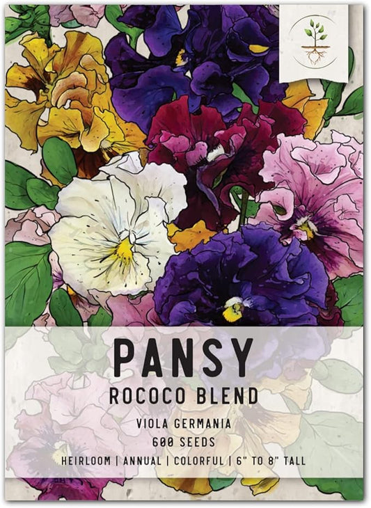 Seed Needs, Rococo Pansy Seeds - 600 Heirloom Seeds for Planting Viola Germania - Colorful Blooms for an Outdoor Flower Garden, Attracts Pollinators (1 Pack)