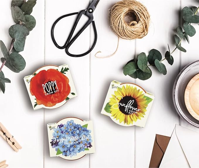 Buzzy Seeds Terracotta Mini Grow Pots | Herb, Plant, Flower Starter Kit for Kids & Adults | Assorted 6-Pack, Daydream Collection | Guaranteed to Grow | Best Indoor-Outdoor Gardening Gift