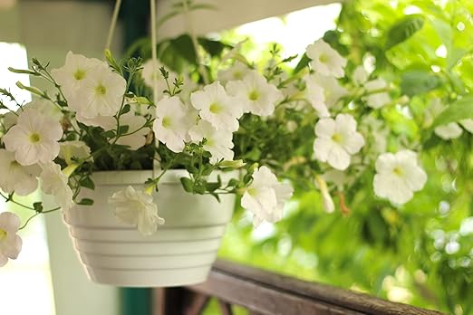 Natural Horticultural Perlite (2 Quart)