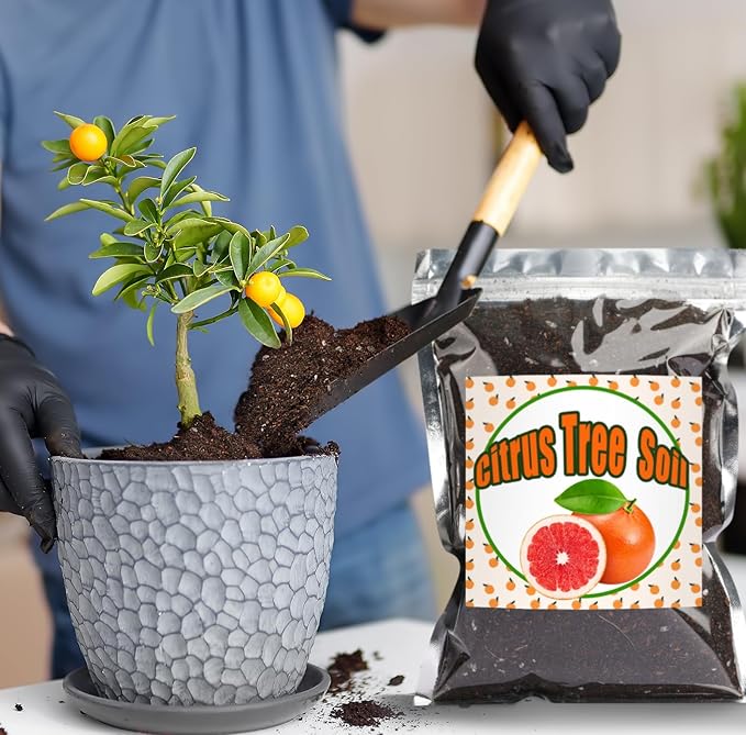 Citrus Tree Potting Soil Mix, Organic Loamy Potting Soil for Potted Lemon or Lime Tree, Special Blend for Indoor Oranges, Lemons, Limes and More