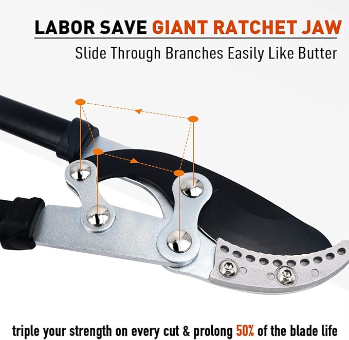 JARDINEER Garden Loppers Pruners Set, Include 30" Anvil Loppers for Tree Trimming Heavy Duty with 2" Cutting Capacity, Bypass Pruning Shear and Spare Loppers Blade