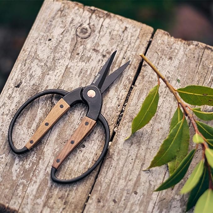 Barebones Garden Scissors - Walnut Plant Scissors - Garden Supplies and Indoor Plant Accessories - Plant Shears with Wide Handles - Comfortable Fit Trimming Shears (Small)