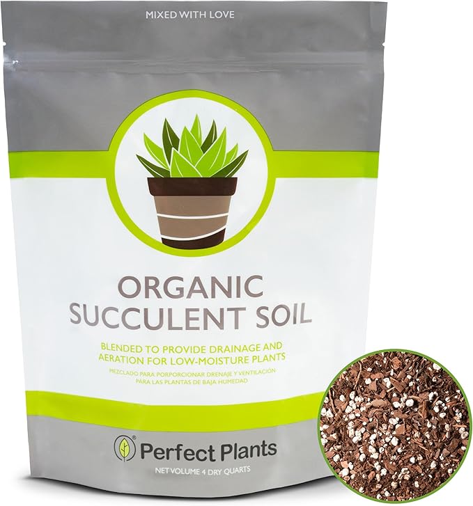 All Natural Succulent and Cactus Soil Mix by Perfect Plants | Made in The USA | 4 Quarts for All Succulent Varieties | Formulated for Proper Drainage