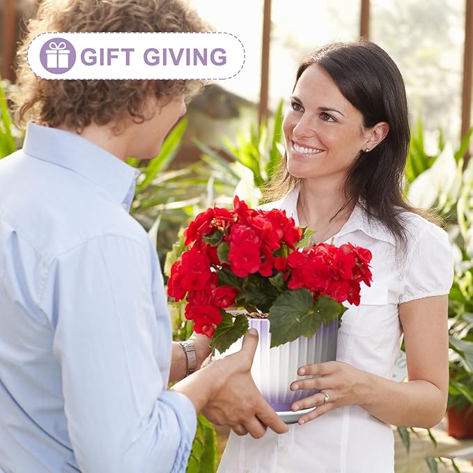 6.7 + 5.5 Inch Plant Pot, Ceramic Planter with Drainage and Saucer, Ceramic Pots for Plants, Indoor Plant pots,Ceramic Flower pots（Purple + White, Plants NOT Included）