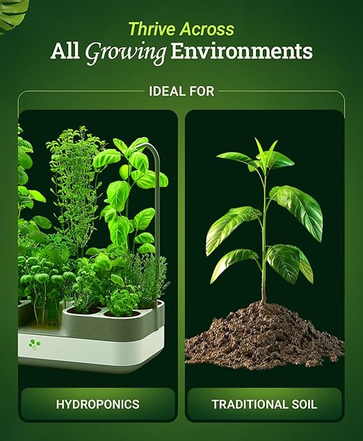 Foxfarm Bushdoctor Bembé Concentrate, Fast-Acting Liquid Plant Fertilizer, Enhances Natural Sugars for Sweetness and Flavor - Easy Absorption for Soil, Containers, and Hydroponics- NPK 0-1-3 (Quart)