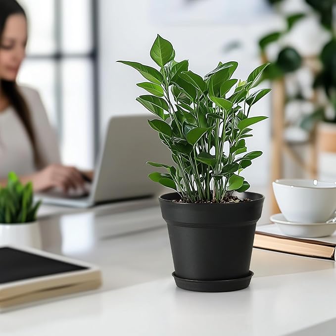 T4U 7.5 Inch Plant Pots 12-Pack - Small Plastic Planter with Drainage Hole and Saucer, Decorative Nursery Pot Bulk for African Violet, Snake Plant, Succulent and All House Plants Indoor (Black)