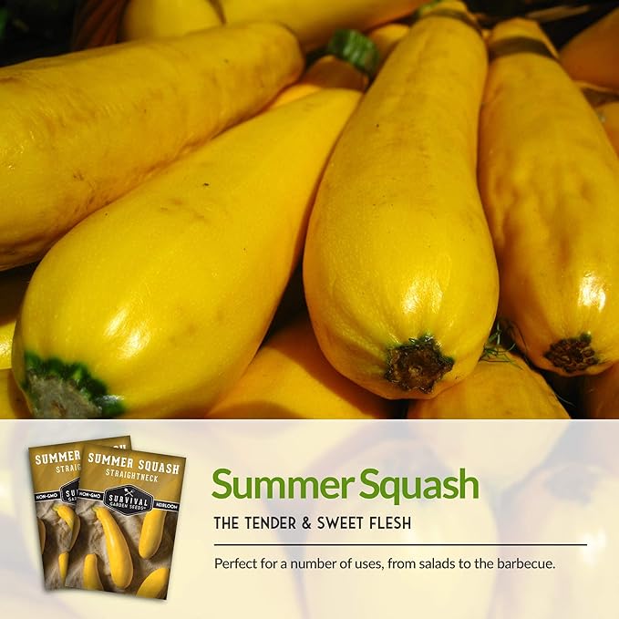 Survival Garden Seeds - Straightneck Summer Squash Seed for Planting - 5 Packs with Instructions to Plant and Grow Yellow Squash in Your Home Vegetable Garden - Non-GMO Heirloom Variety
