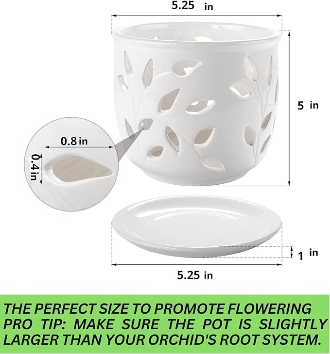 Orchid Pot with Holes & Saucer Ceramic 5.25 in. Indoor or Outdoor Large Pot for Orchid Care & Root Health with Precise Aeration & Drainage – Durable for Repotting or New Plants