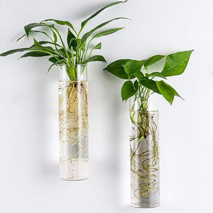 Kingbuy Wall Hanging Plant Terrarium Propagation Station Glass Planter for Home Office Decor, Large Cylinder Vase, 2 Pack