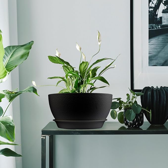 8 inch Plant Pots Pack of 2, Plastic Planter with Drainage Holes and Saucers, Plant pots for Indoor Outdoor Use, Flower Pots for All House Plants (Black)